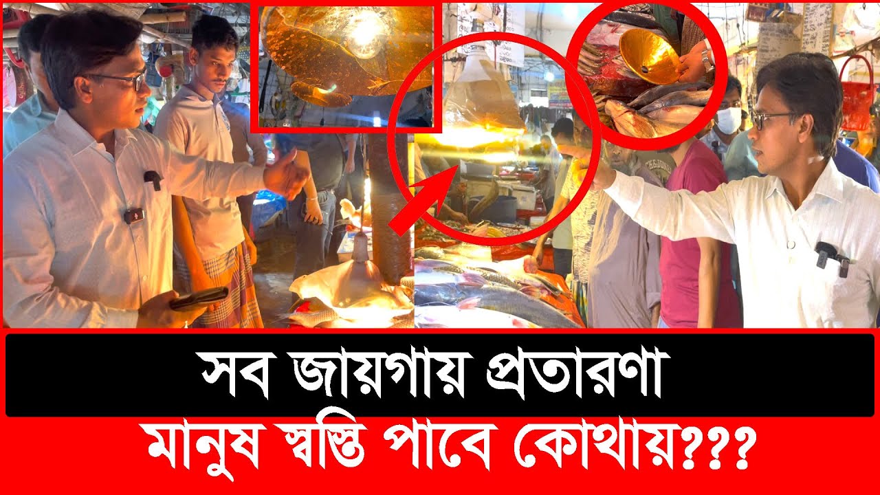 মাছ বাজারে রঙিন লাইট জ্বালায় কেন? ভ'য়াবহ প্র'তারণা, ক্ষিপ্ত ভোক্তা অফিসার|Daily Issues|Vokta odhikar