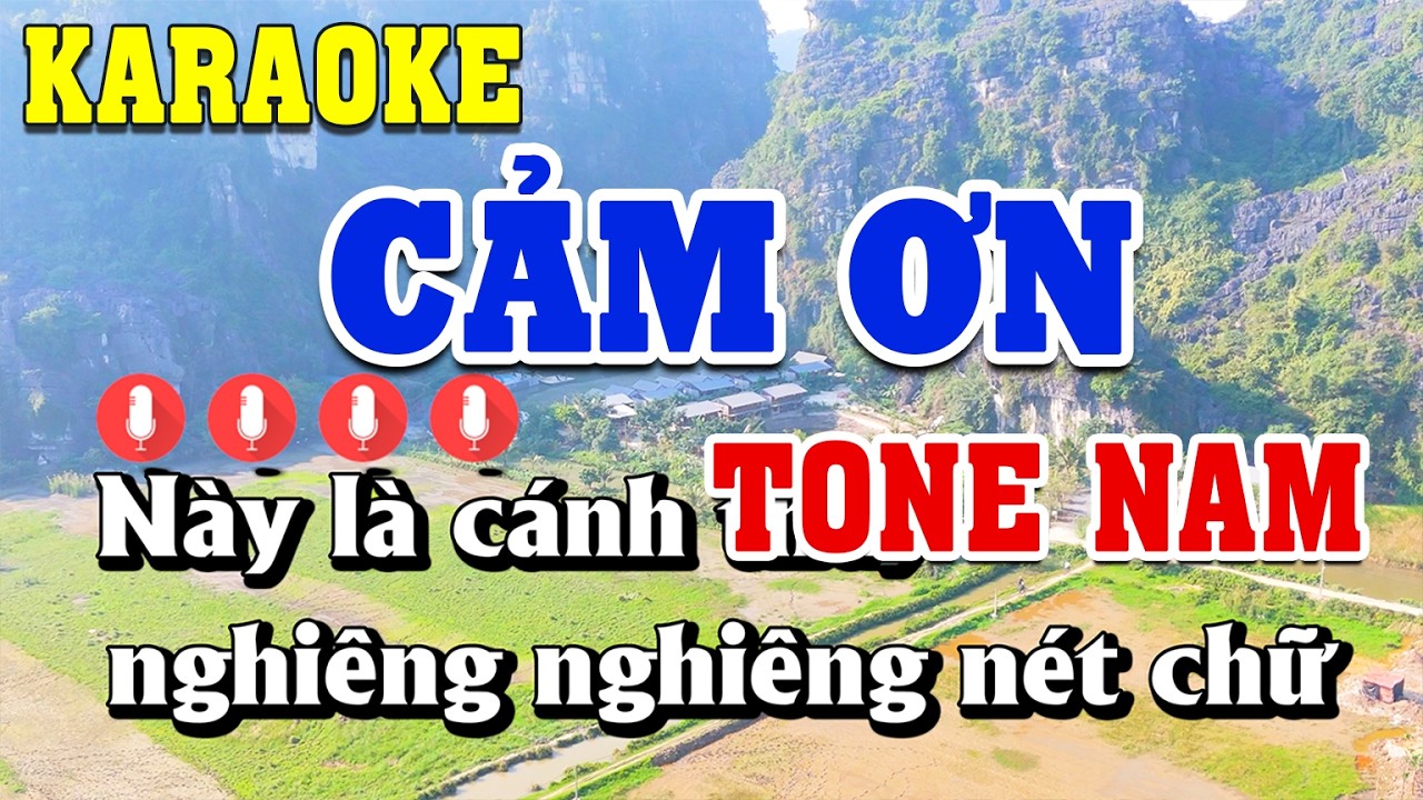 Cảm Ơn Karaoke Tone Nam ( C#m ) Beat Chuẩn | Linh Linh Karaoke