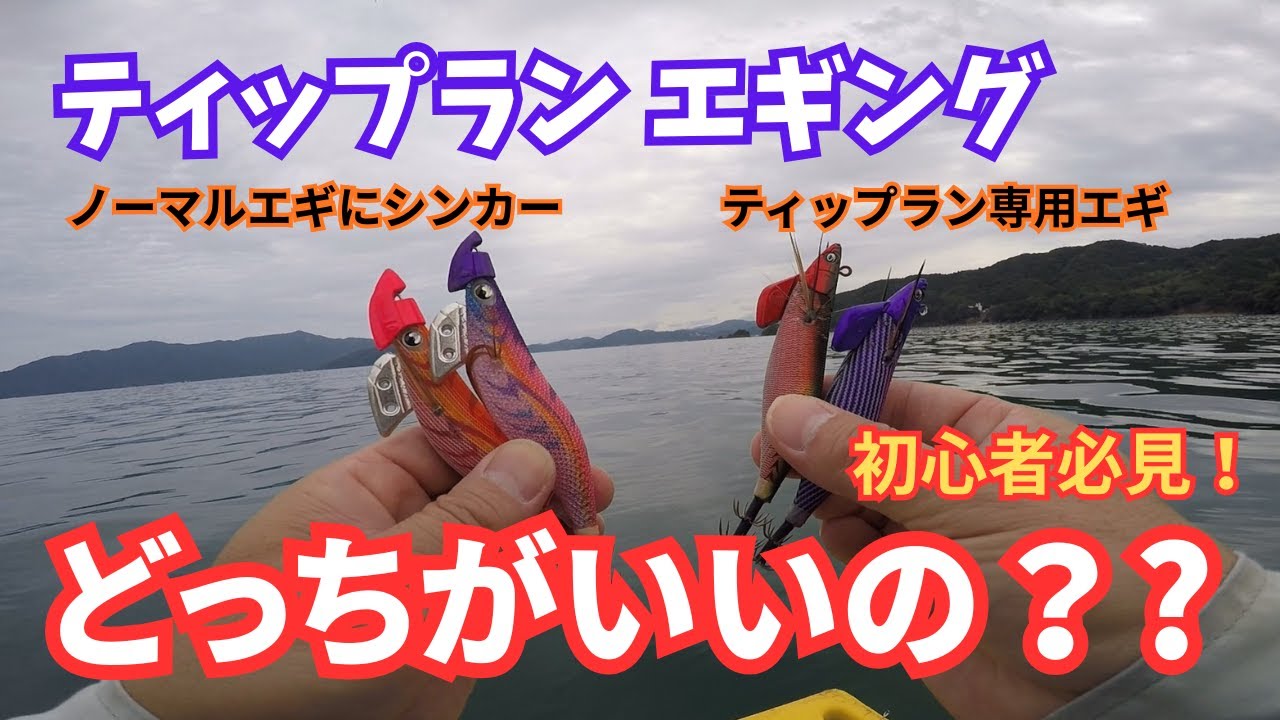ティップラン専用エギかノーマルエギにシンカーどっちがいいの？ #エギング #ティップラン