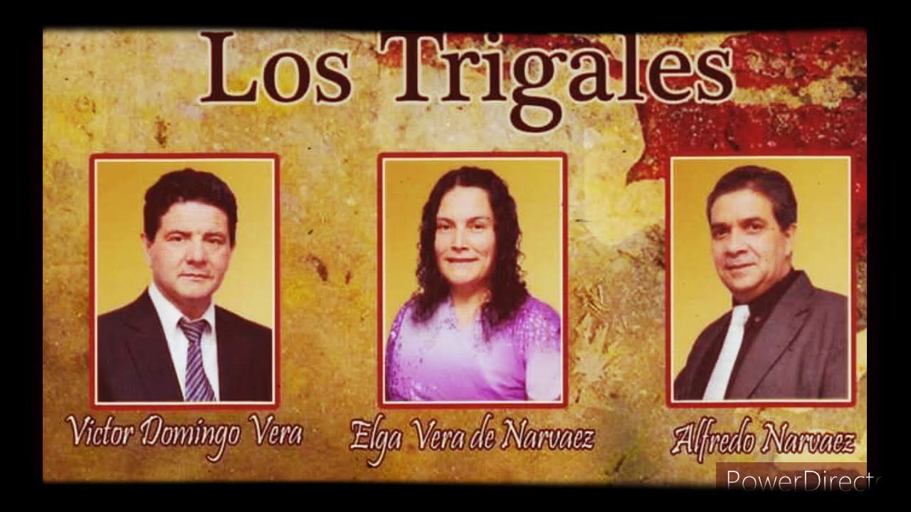 El buen pastor_los trigales