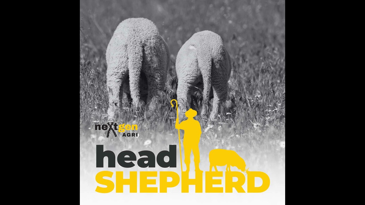 How Do You Breed Short-Tailed Sheep? with Marnie Hodge