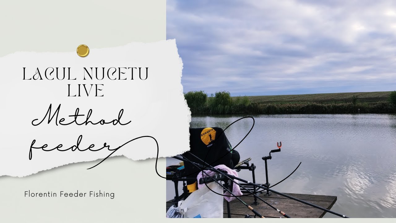 Pescuit pe Balta Nucetu  live! #fishing #livefishing #AdpBaits #feeder