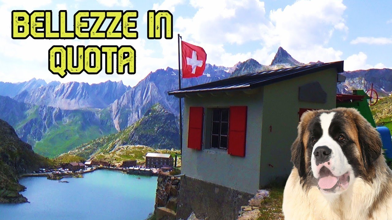 Cosa vedere al colle GRAN SAN BERNARDO | VALLE D'AOSTA