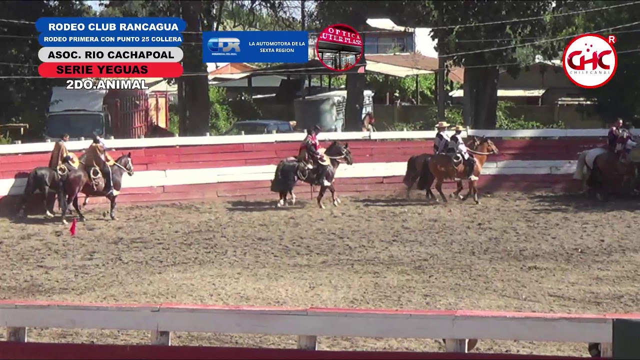 Rodeo primera con punto 25 colleras Serie Yegua club rancagua asoc rio cachapoal