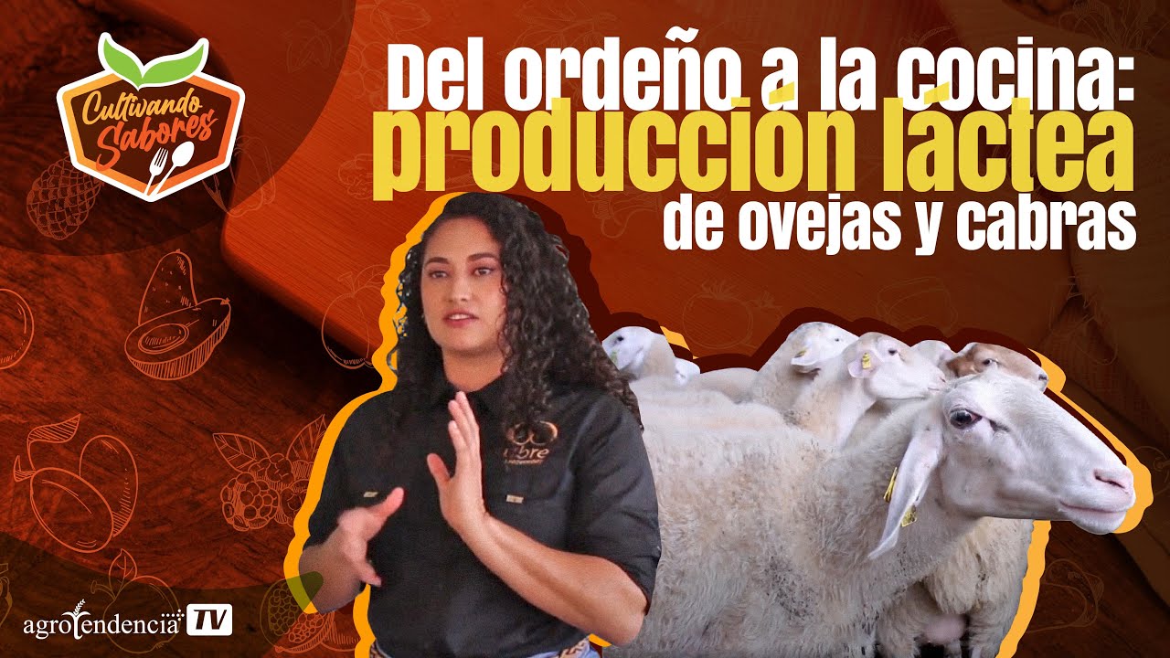 Del ordeño a la cocina: ¡La producción láctea de ovejas y cabras al descubierto! - EPI #3