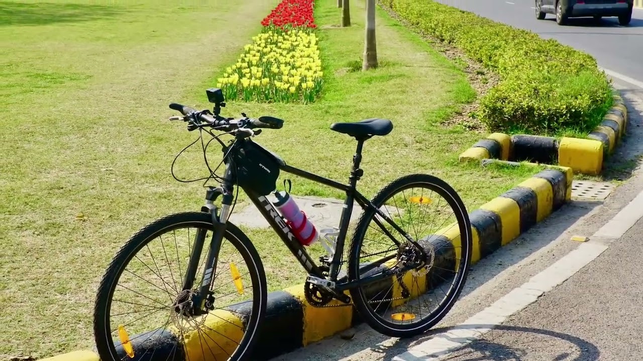 Delhi Tulip Trail 15th February 2026