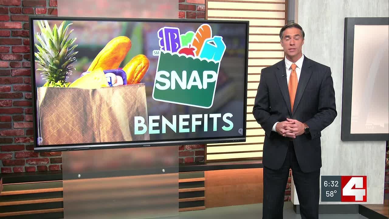 As SNAP shutdown looms, St. Louis foodbanks hold on -- but who can actually use SNAP and how?