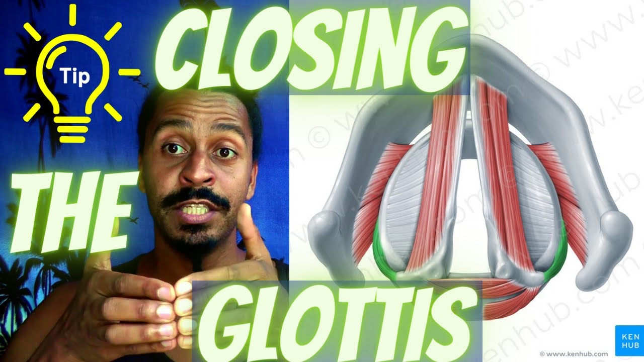 Closing the Glottis &ndash; Anatomical Vocal Training (35)