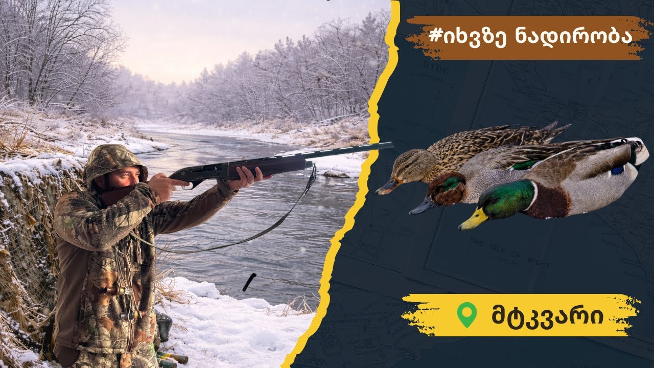 🦆 იხვზე ნადირობა 🎯 