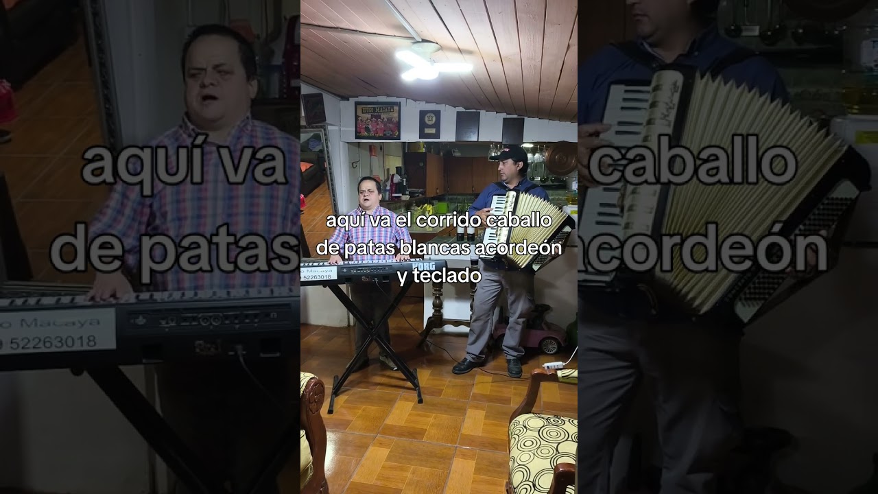 Este es el corrido caballo de patas blancas acordeón y teclado