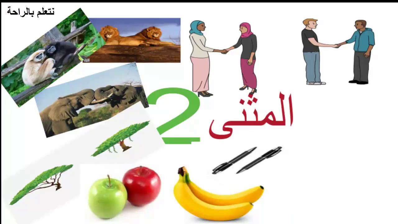المثنى - علامات إعراب المثنى - استخراجه - تعلم النحو بسهولة
