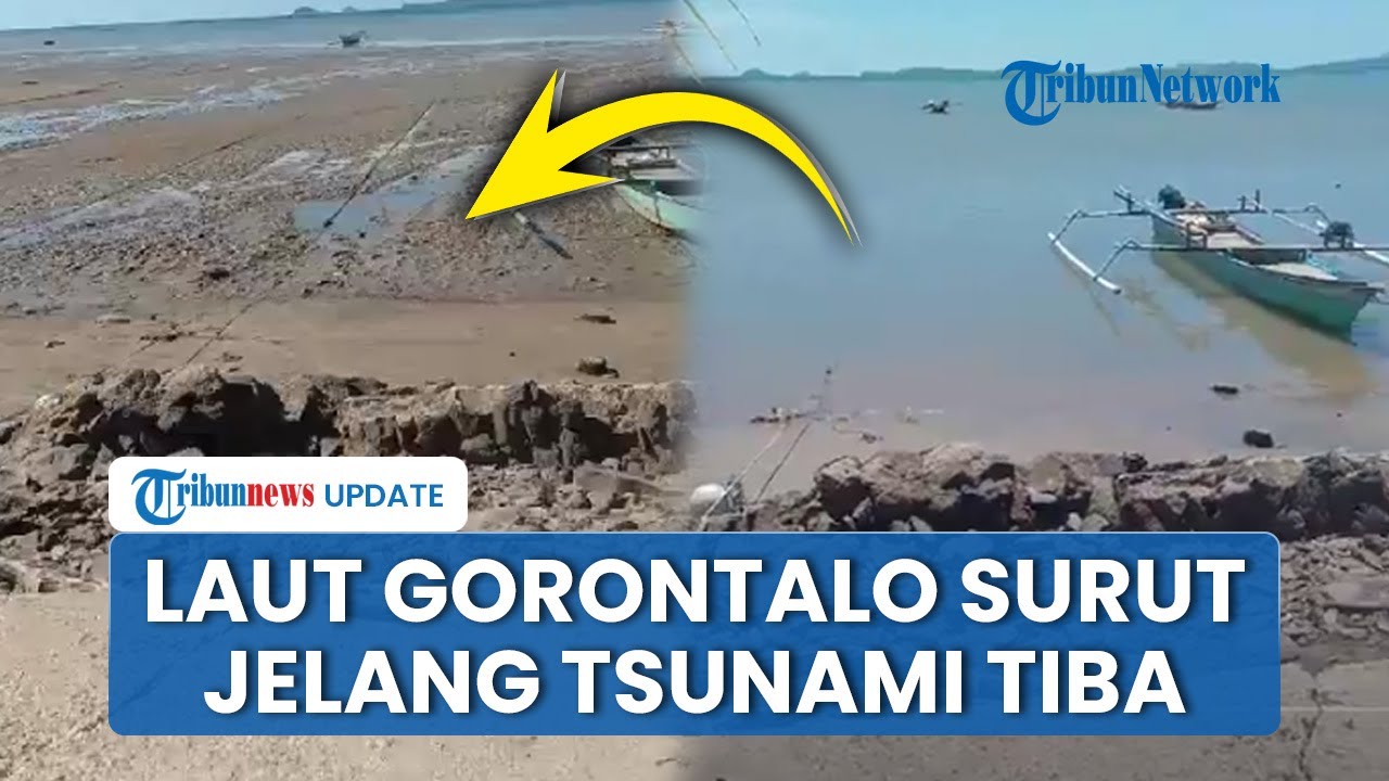 Detik-detik Air Laut di Gorontalo Surut sebelum Tsunami Menerjang Imbas Gempa Rusia, Warga Mengungsi