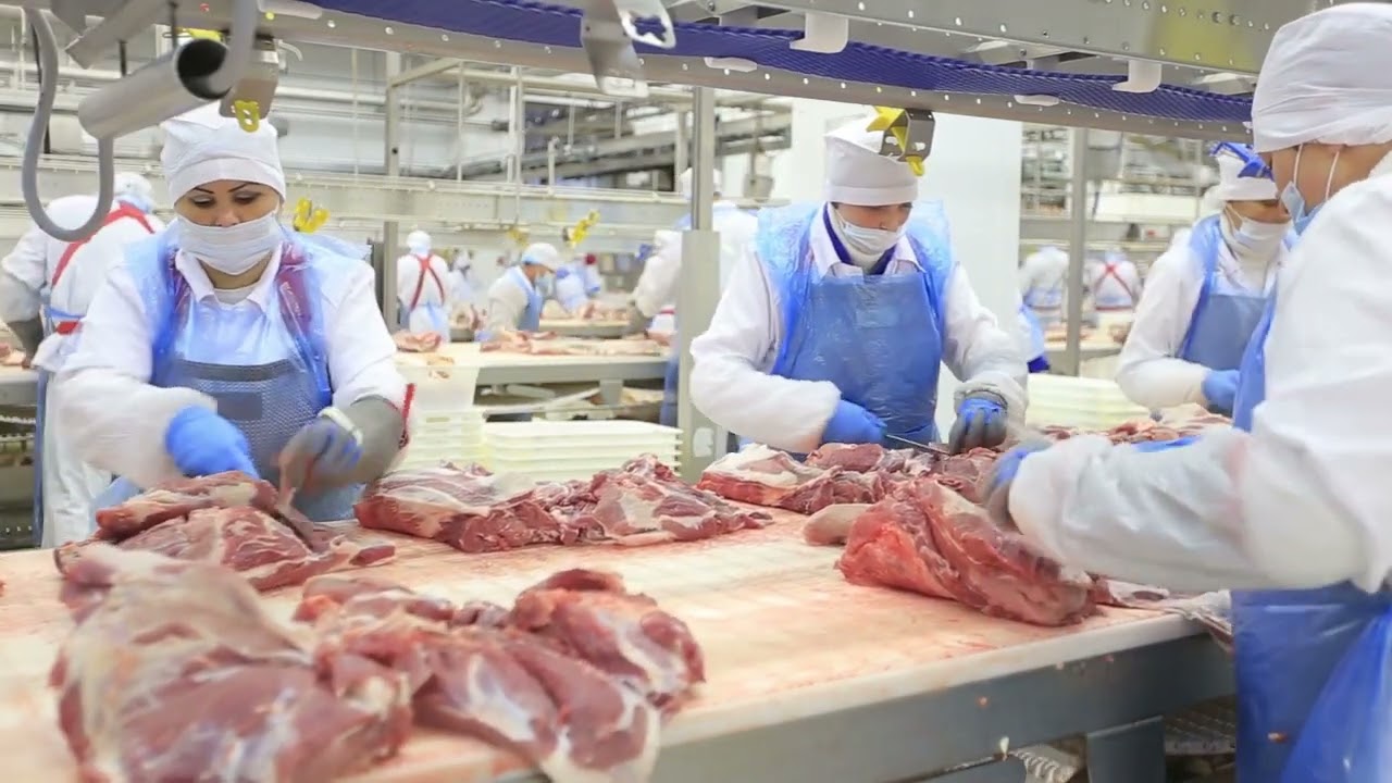 ¿Qué es la industria y tecnología alimentaria? ¿La tecnología transforma a la industria alimentaria?
