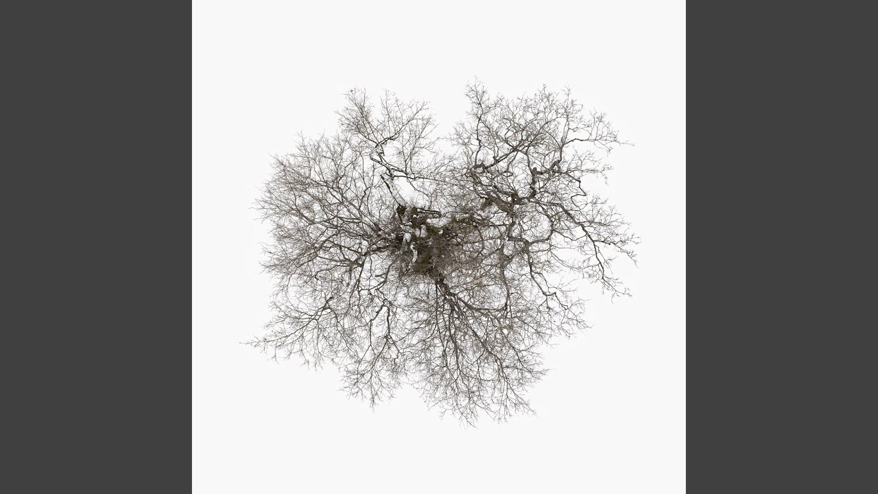 Root to Leaf