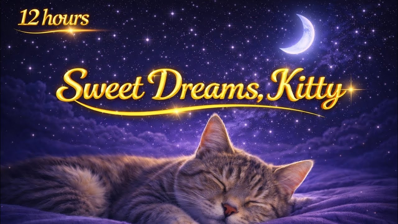 Cat Sleep Music 🐾 Deep Relaxation for Cats & Humans | Calm Night Sounds (12 Hours)
