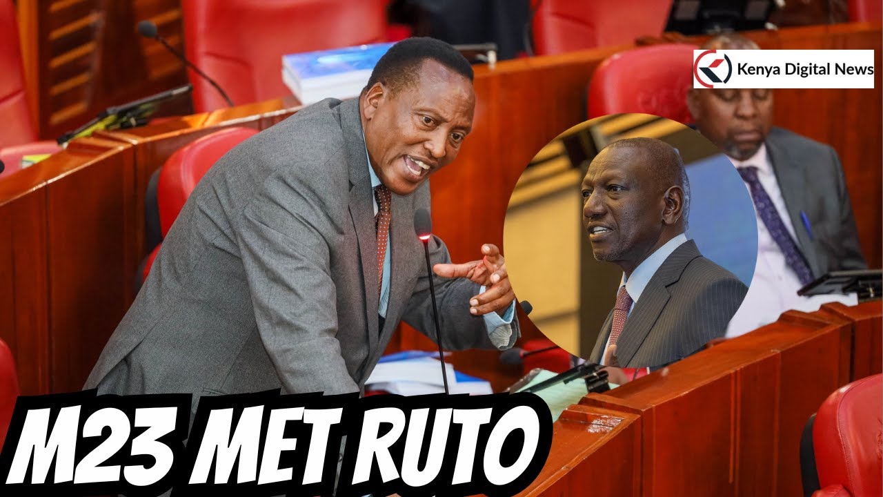 'M23 met Ruto and Launched their movement in Nairobi,' Angry Sen. Onyonka Clashes With Sen. Mandago