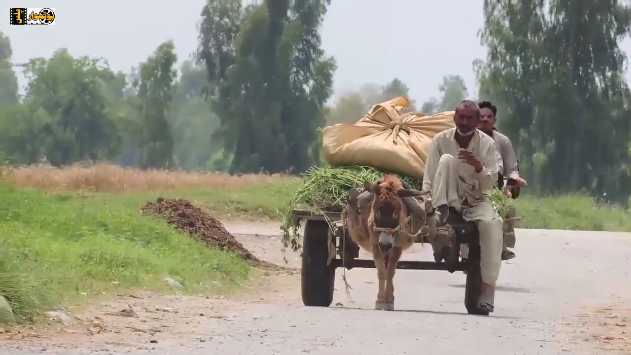 Pakistani village SWABI KPK | The khyber official