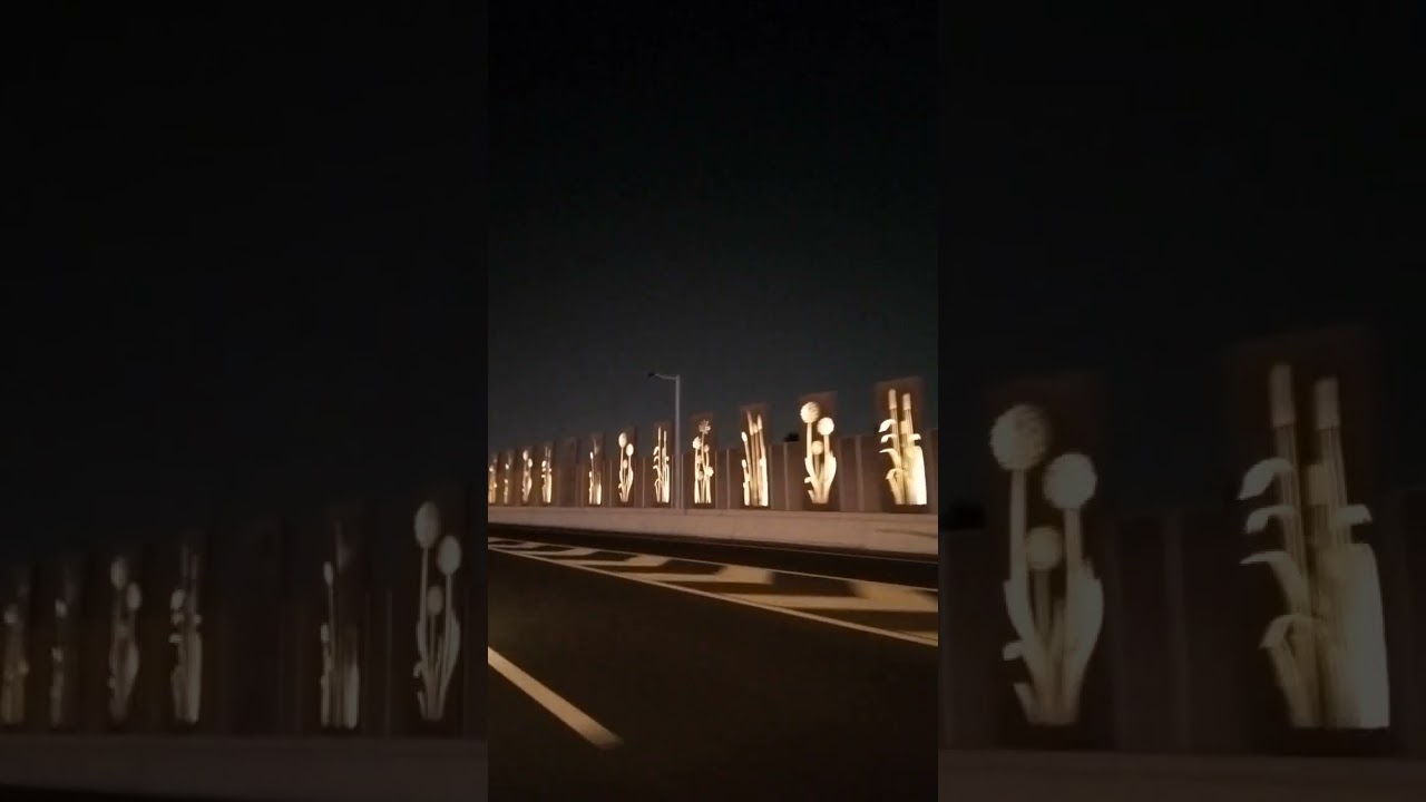 Exploring Lusai at Night