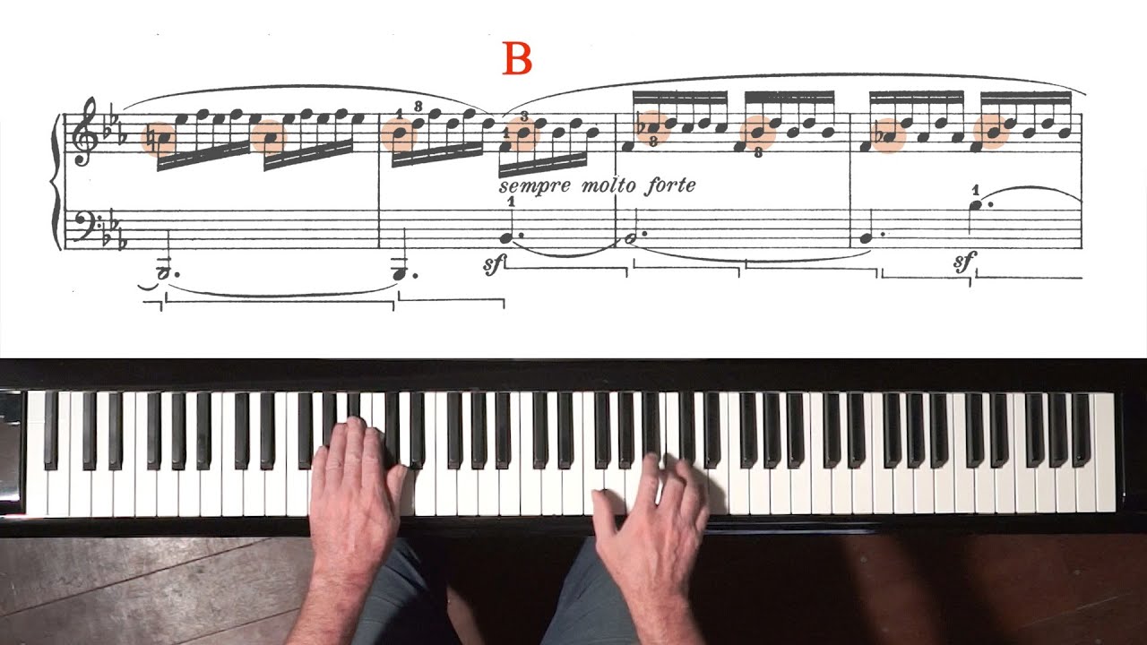 Beethoven Viewer Q&A - Piano Sonata No.4 “Tremolo Voicing”
