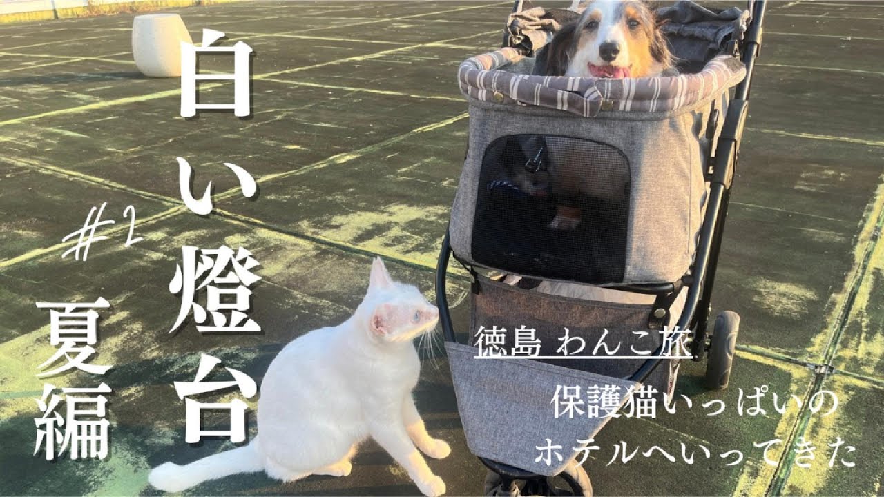 白い燈台 夏編 #2