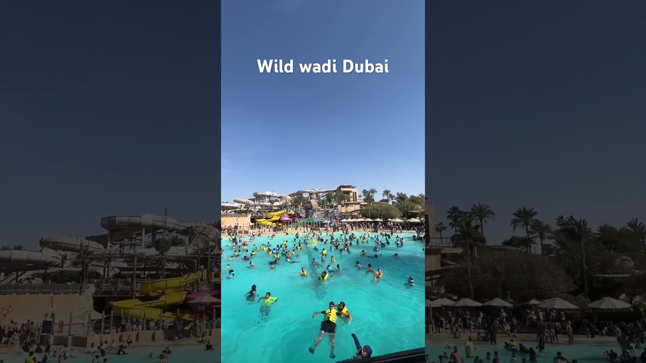 Its not a beach its a swimming pool | #wildwadiwaterpark #wildwadi #amulbaby