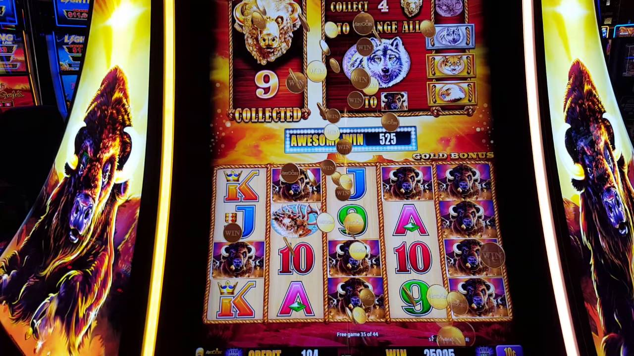 Buffalo Gold Slot Bonus 62 Spin Hand Pay High Limit $36 per spin