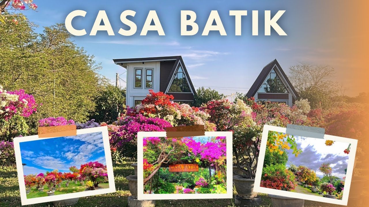 Золотой час в Casa Batik | Часть 2