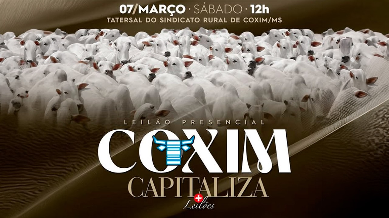 LEILÃO PRESENCIAL COXIM CAPITALIZA_LEILÕES - AGRO LIVE - RIO VERDE-MS  07/03/2026