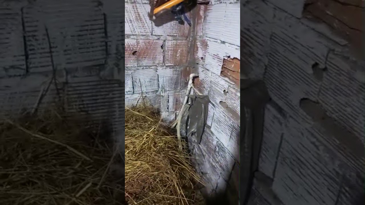 Zonguldak’ın Doğasında Hayvancılık ve Köy Turu