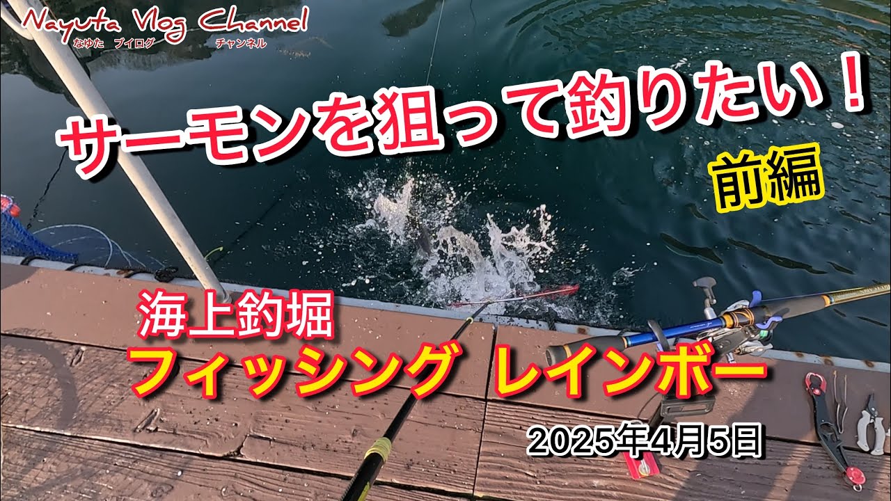 【海上釣堀】フィッシングレインボー　2025年マス釣り会　サーモンを狙って釣りたい！前編　キビナゴの付け方で喰いが変わった！