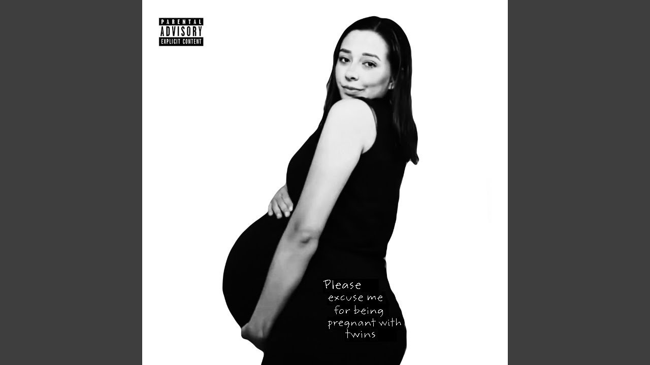 Please Excuse Me for Being Pregnant with Twins