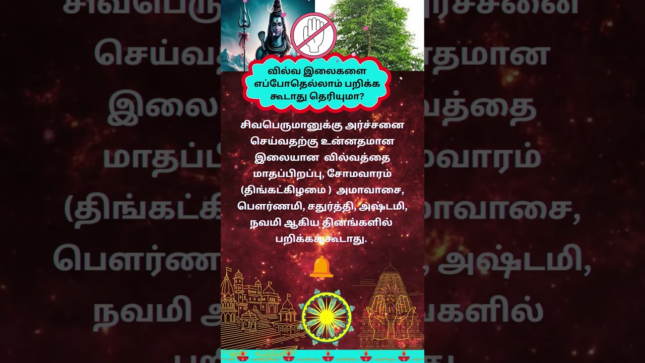வில்வ இலைகளை எப்போது பறிக்க கூடாது # ShivaDevotion # BilvaLeaves