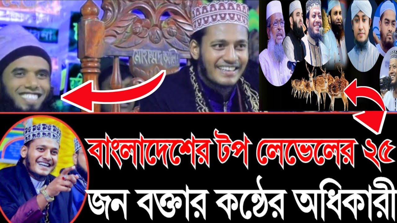 টপ লেভেলের ২৫ জন বক্তার কন্ঠ নকল করে ইতিমধ্যে ভাইরাল মাওলানা মেহেদী হাসান মেজবা  নওগঁ 01704371773