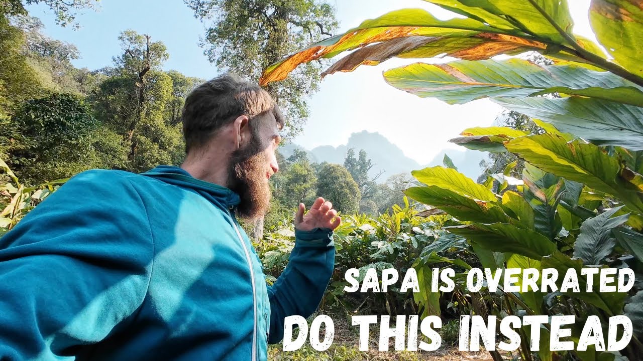 Hiking in the Vietnam rainforest - didn't expect to be like this 🇻🇳