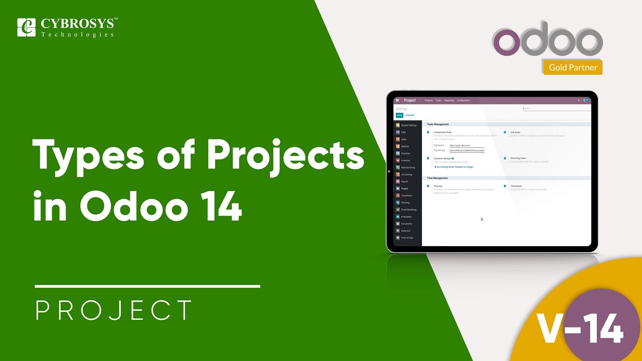 Types of Projects in Odoo 14 | Odoo Projects