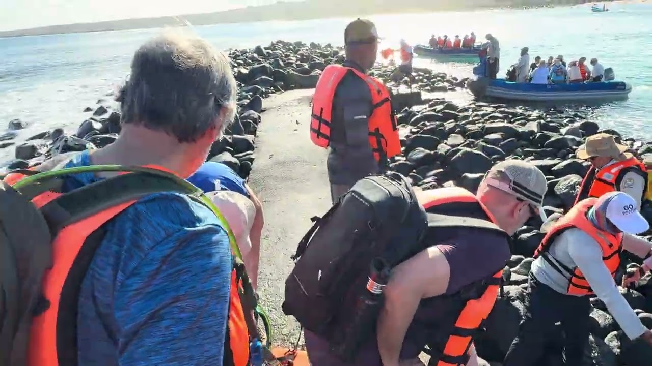 coming ashore on the rocks