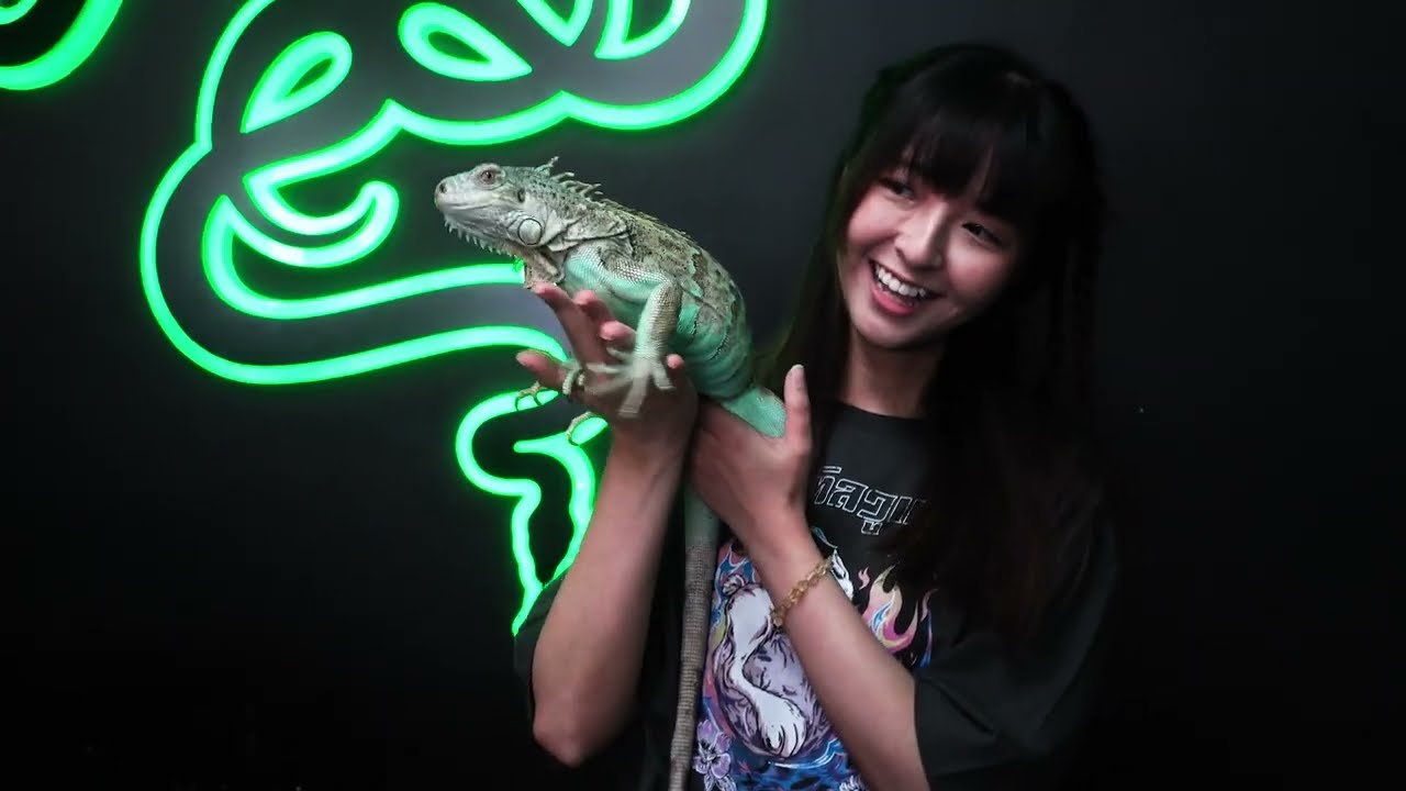 RazerStore Hong Kong Relaunch | SF6 Showdown
