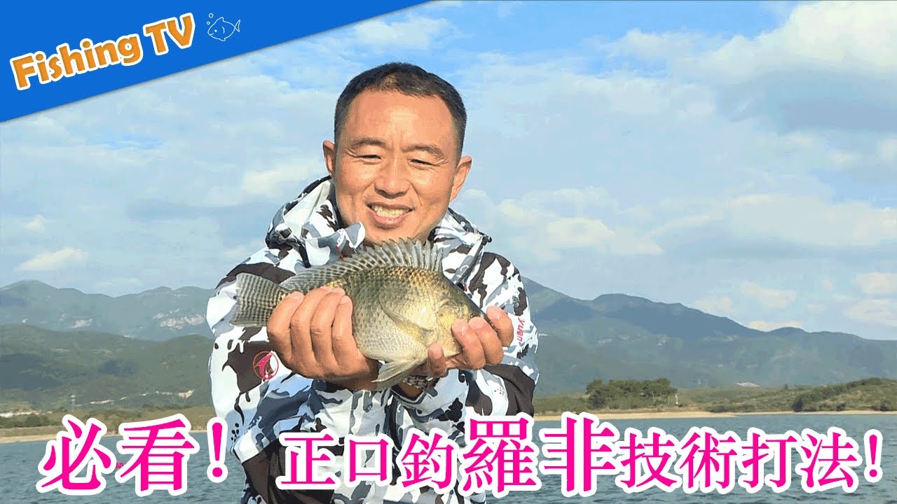 ✨必看！正口钓罗非技术打法！ |就这样钓鱼Lets Fishing|快乐垂钓频道