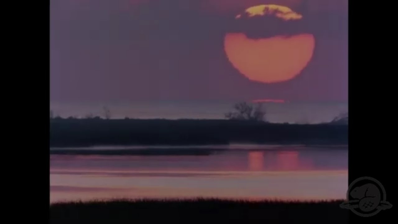 Point Pelee | Alain Clavier 1980s Interludes | Parks Canada