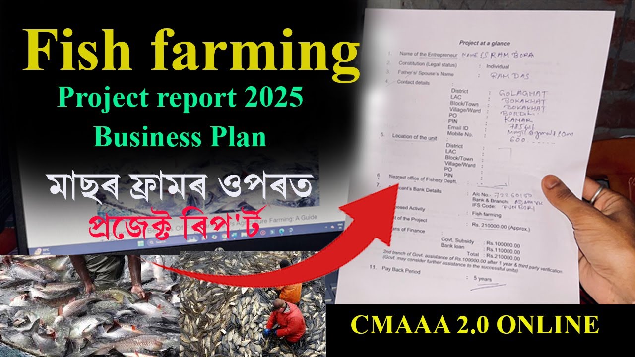 Fish farming project report & business plan |  মাছৰ ফ্ৰামৰ ওপৰত প্ৰজেক্ট ৰিপ'ৰ্ট tips | CMAAA 2.0