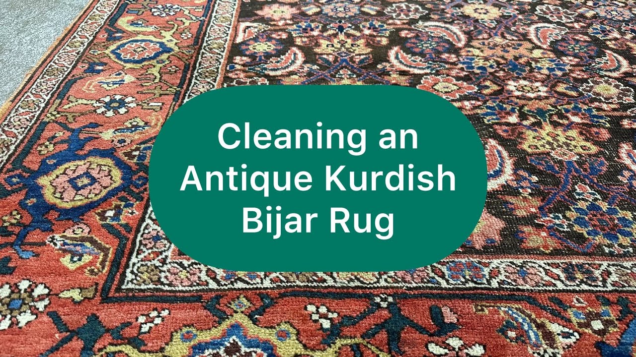 Cleaning an Antique Kurdish Bijar Rug (150 YEARS OLD!) #asmr #rugcleaning #kurdish