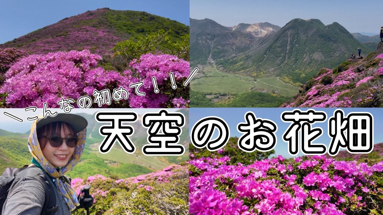 ［圧巻の登山！］こんな場所が日本にあるんだ､､！大満開のミヤマキリシマを見に、癒しを求めてソロ登山。［ジムニーで車中泊］