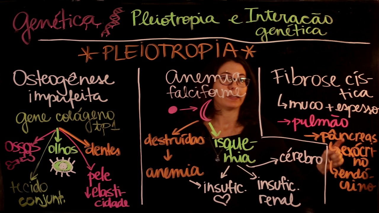Aula 136 GENÉTICA parte 10 Pleiotropia e Interação Gênica