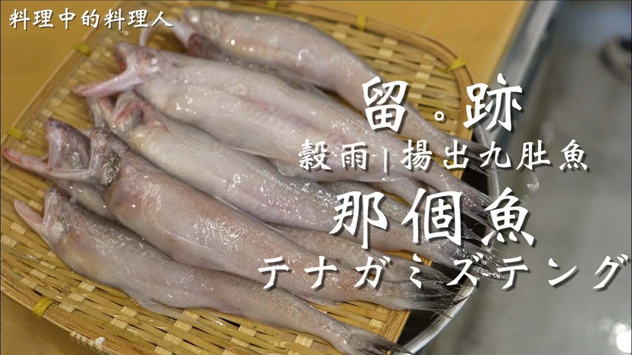 留。跡 ｜ EP 103 穀雨 那個魚 テナガミズテング(手長水天狗) 揚出九肚魚