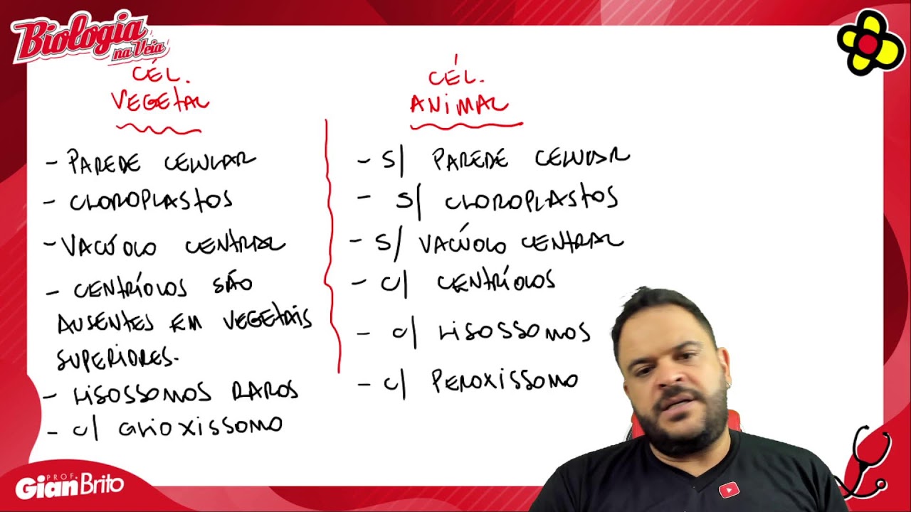 CITOLOGIA - LIVE +30 MINUTOS DE BIOLOGIA