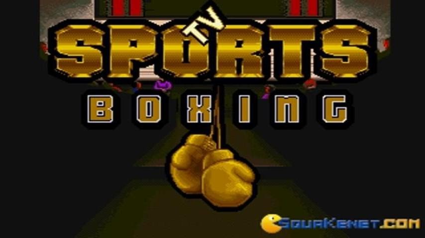 TV Sports: Boxing gameplay (PC Game, 1991)