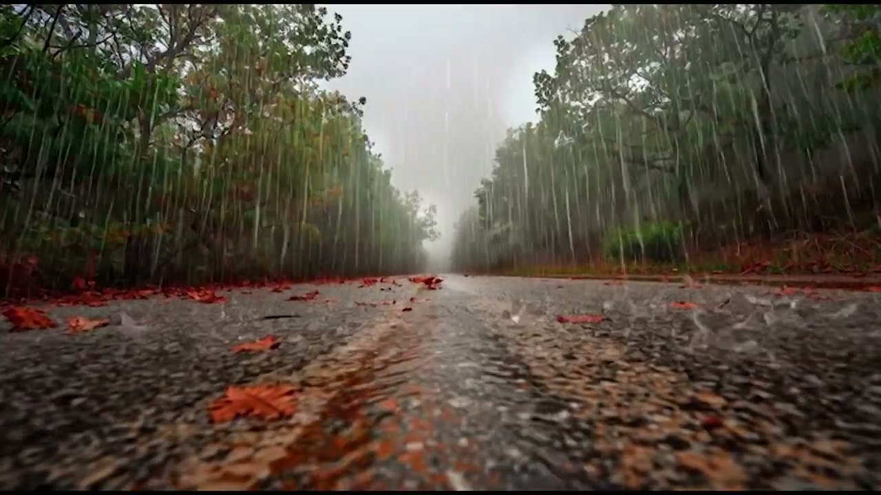 The sound of rain on the roadside