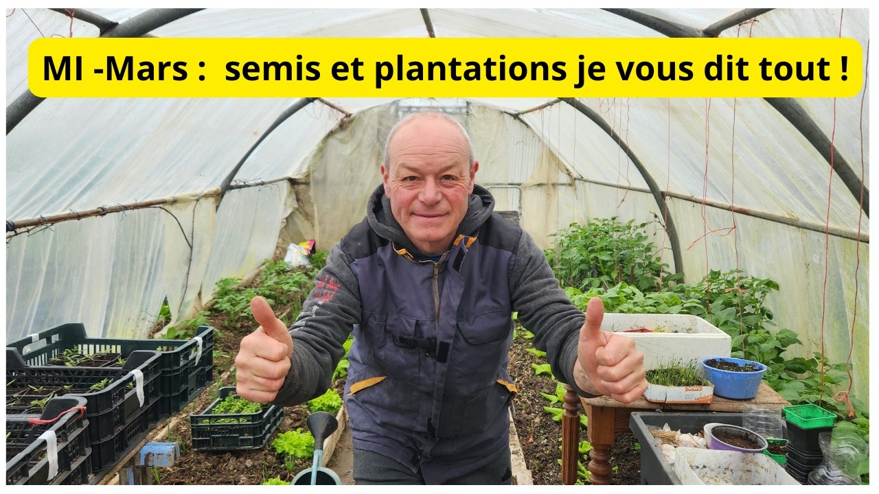 Mi-Mars au jardin .... Mes conseils  a semer et planter !
