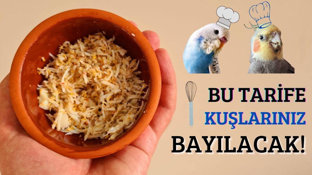 Gerçek Yumurta Maması Tarifi (Kuşum Yemiyor Diyenler İzlesin)