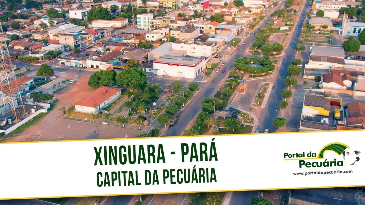 Xinguara - PA , capital da pecuária.